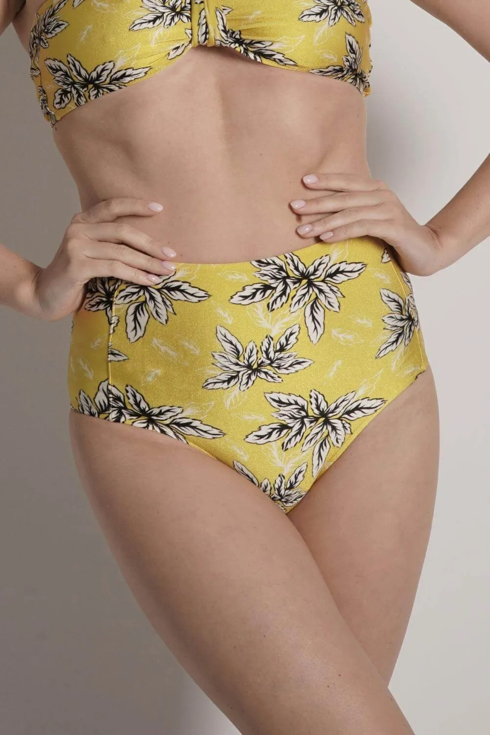 Bianca High Waisted Bikini Bottom sold by Lord & Taylor product image thumbnail 4