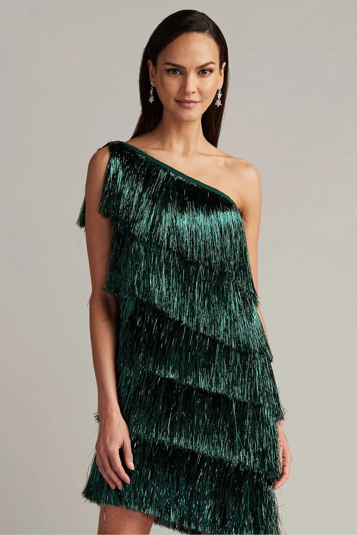 Sonny Metallic Fringe Mini Dress sold by Lord & Taylor product image thumbnail 5