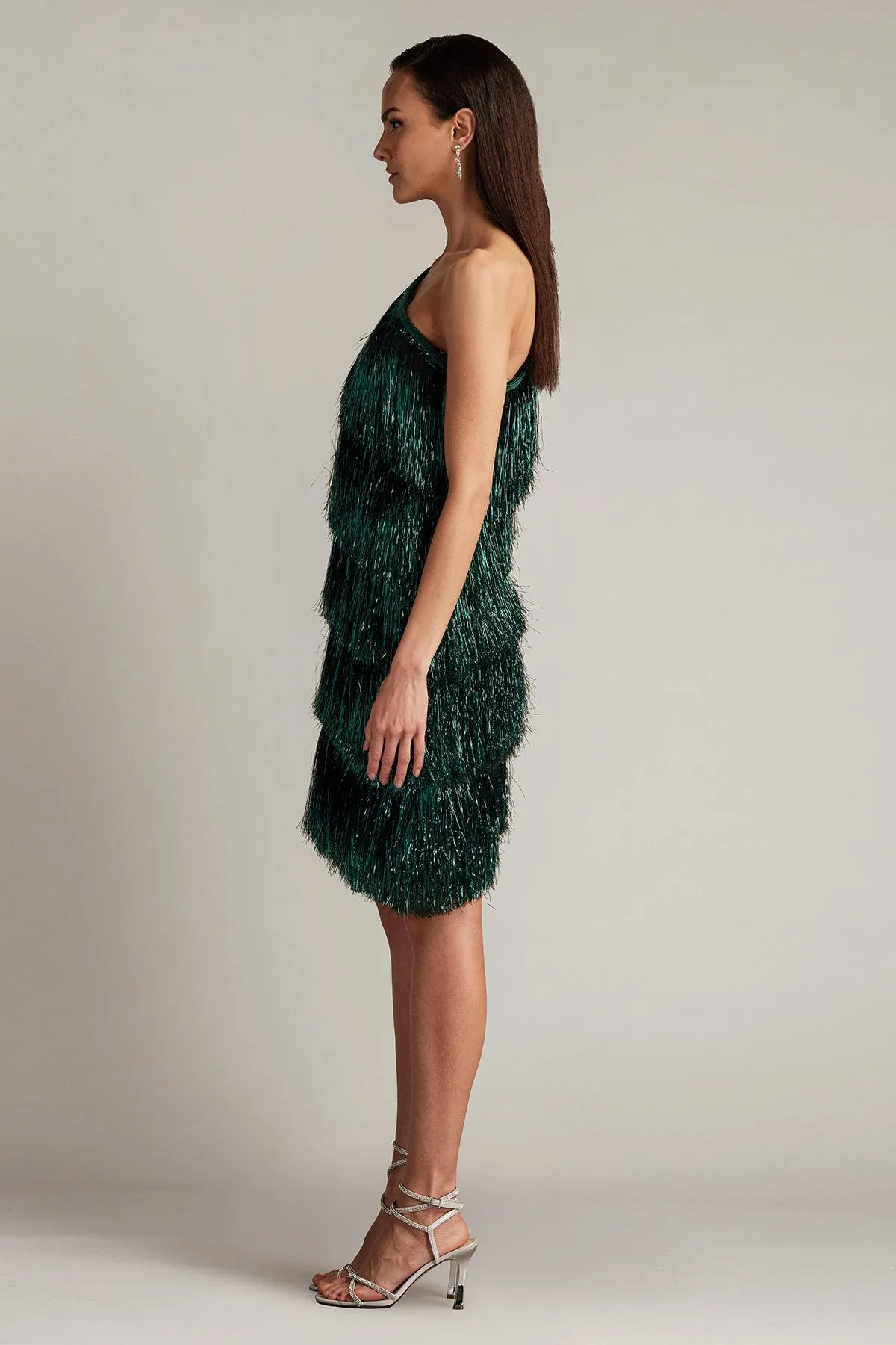 Sonny Metallic Fringe Mini Dress sold by Lord & Taylor product image thumbnail 4
