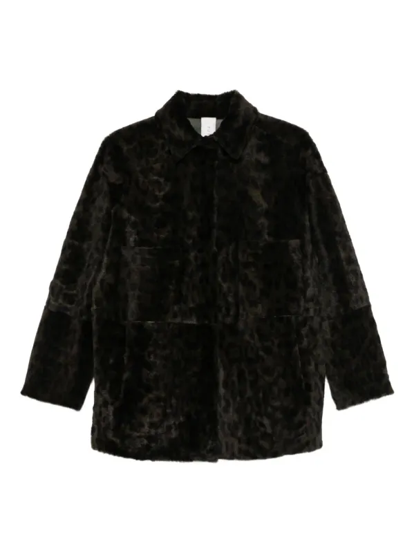 FURLING BY GIANI Shirts Brown sold by Lord & Taylor