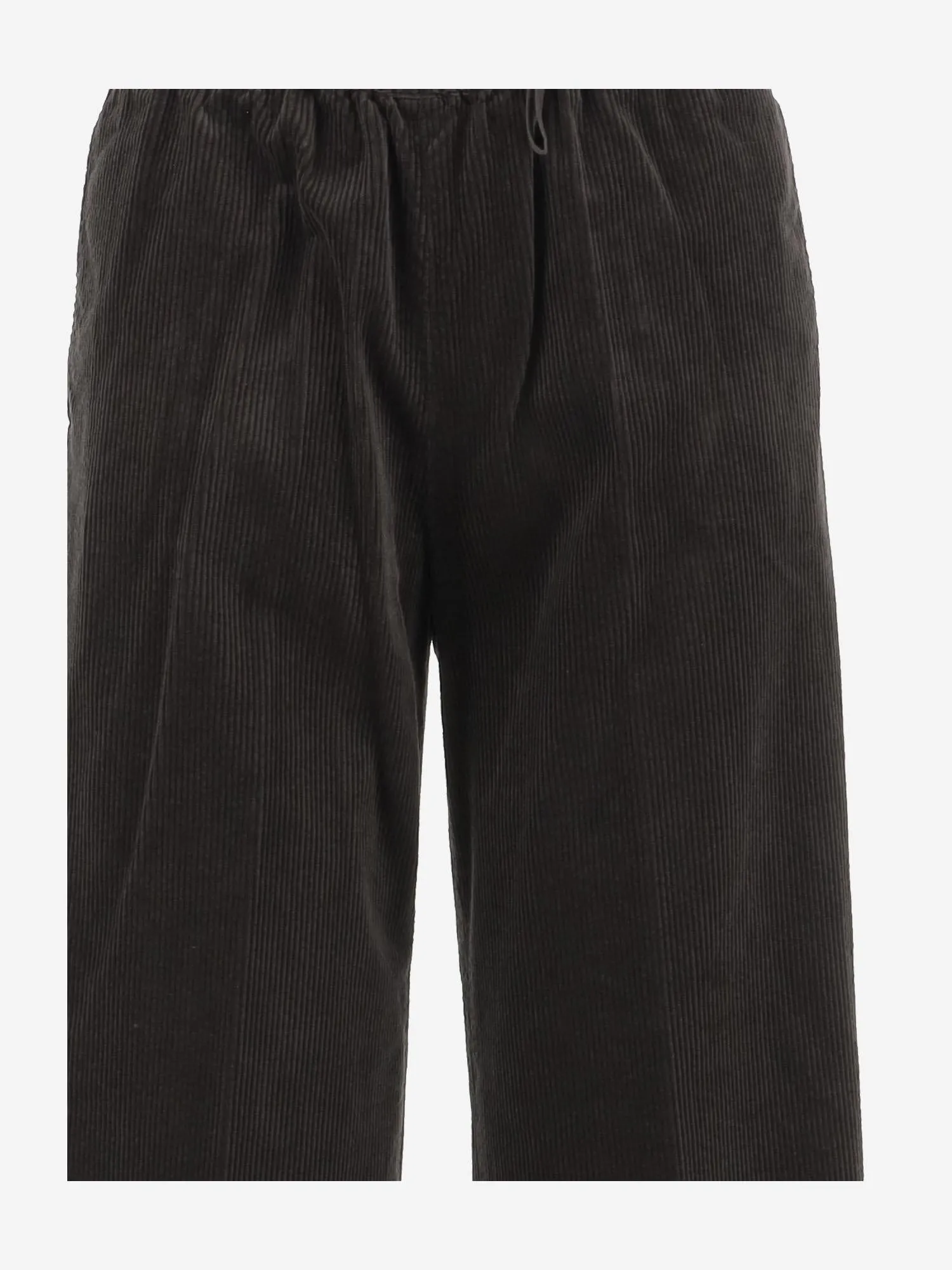 Cotton Velvet Pants sold by Lord & Taylor product image thumbnail 3