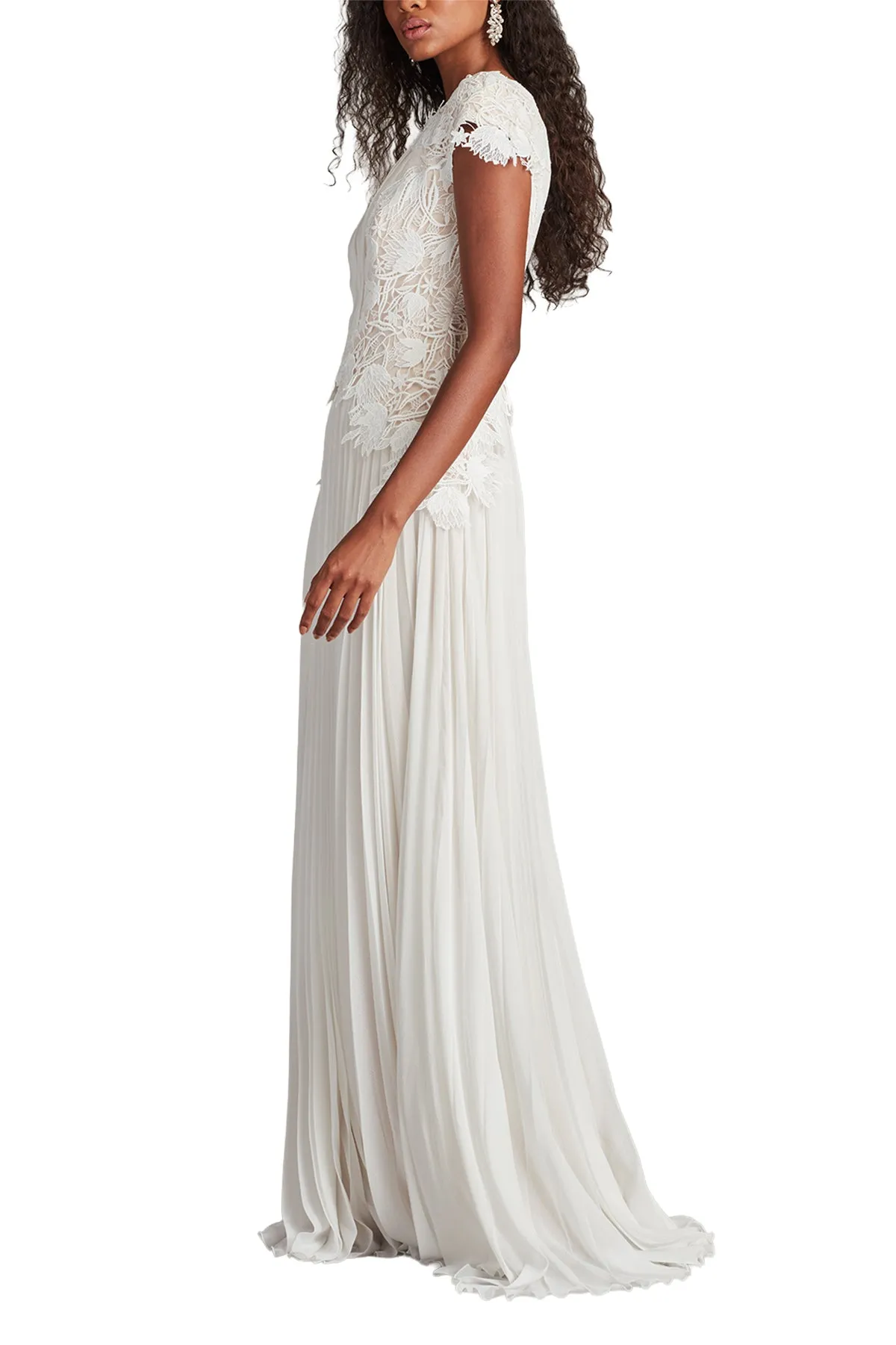 Cassiel Pleated Chiffon Gown IVPTL sold by Lord & Taylor product image thumbnail 5