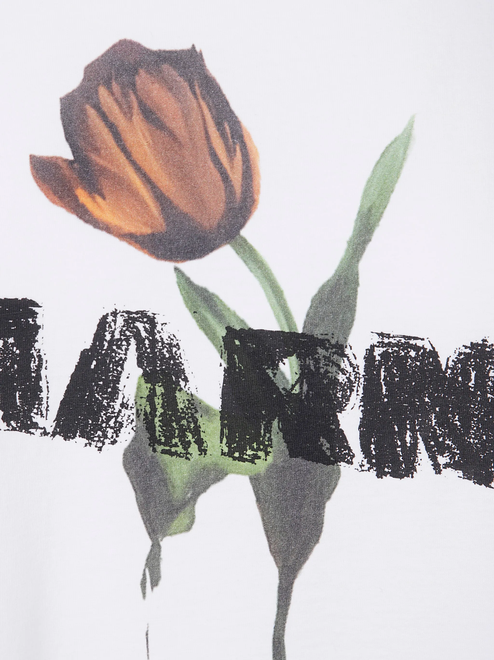 T-SHIRT sold by Lord & Taylor product image thumbnail 3