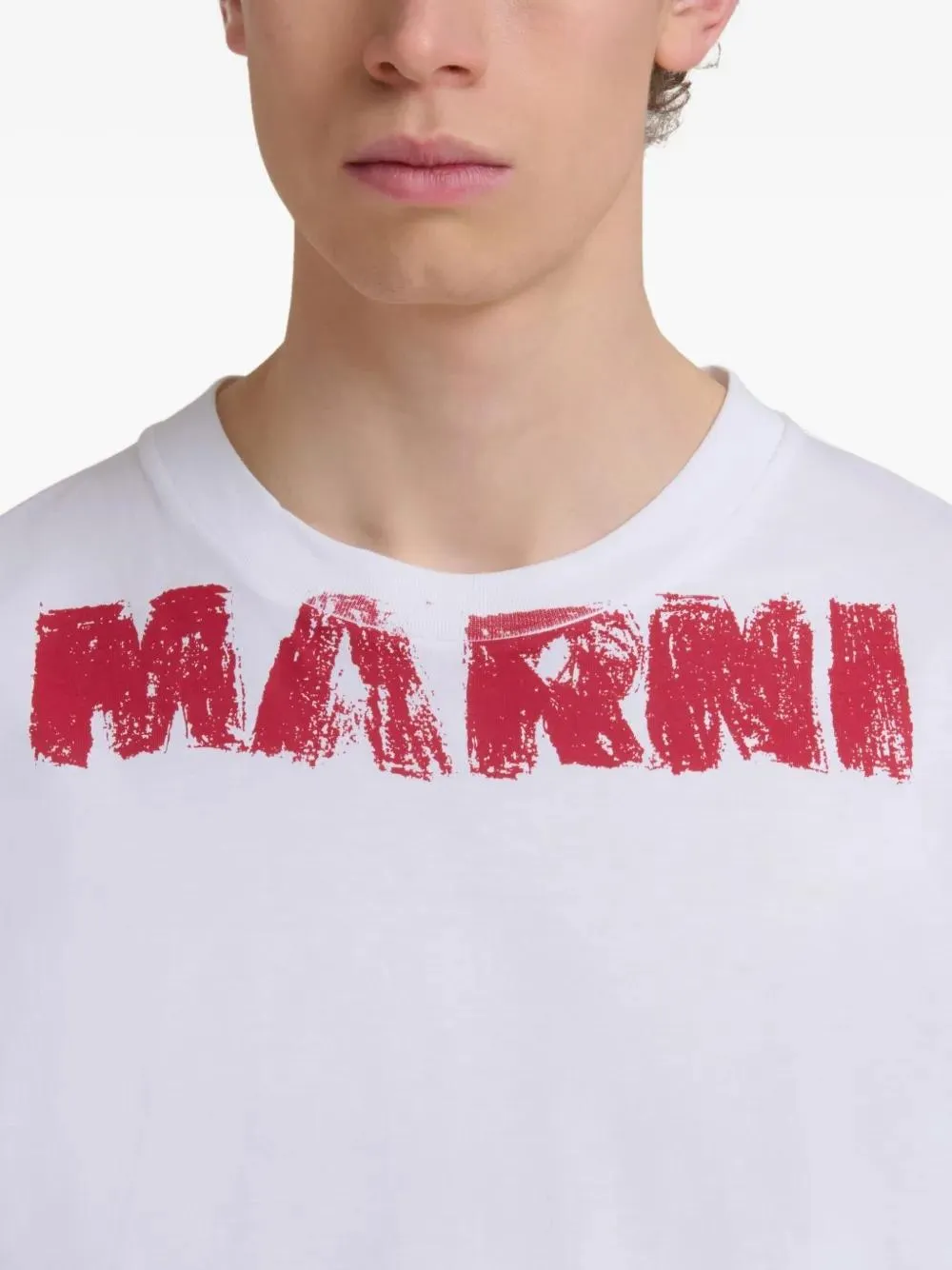 T-SHIRT sold by Lord & Taylor product image thumbnail 4