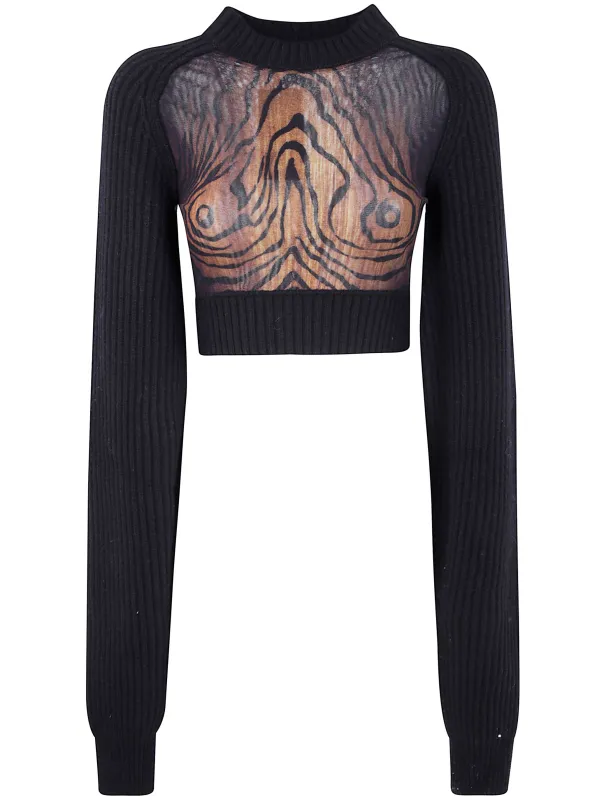 LAMBSWOOL RIBBED LONG SLEEVES CROPPED SWEATER WITH PRINTED MESH CUT OUT DETAILS sold by Lord & Taylor