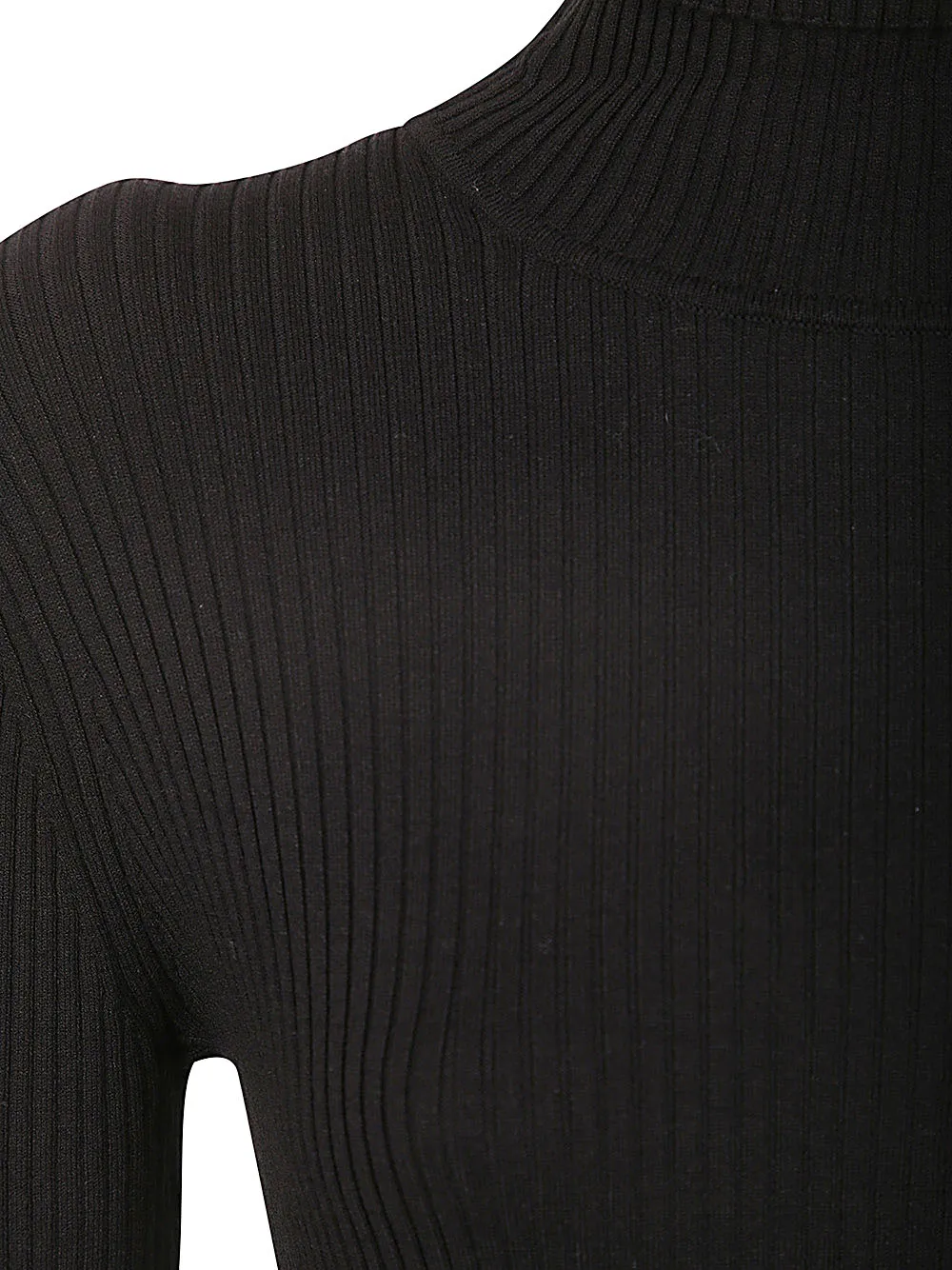 RIBBED TURTLE NECK MIDI DRESS WITH PORTHOLE ON BACK sold by Lord & Taylor product image thumbnail 3