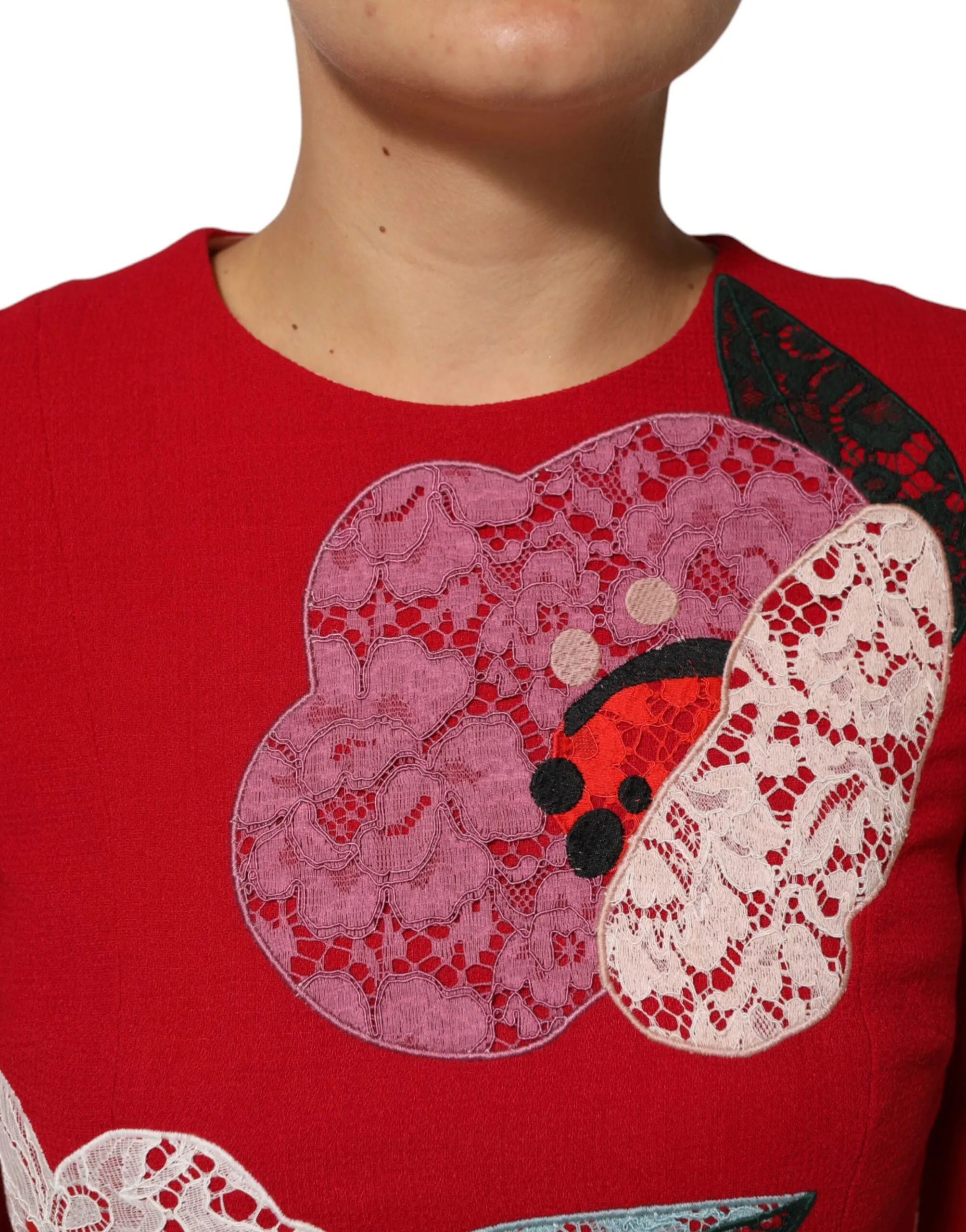 Red Lace Floral Applique A-line Mini Dress sold by Lord & Taylor product image thumbnail 5