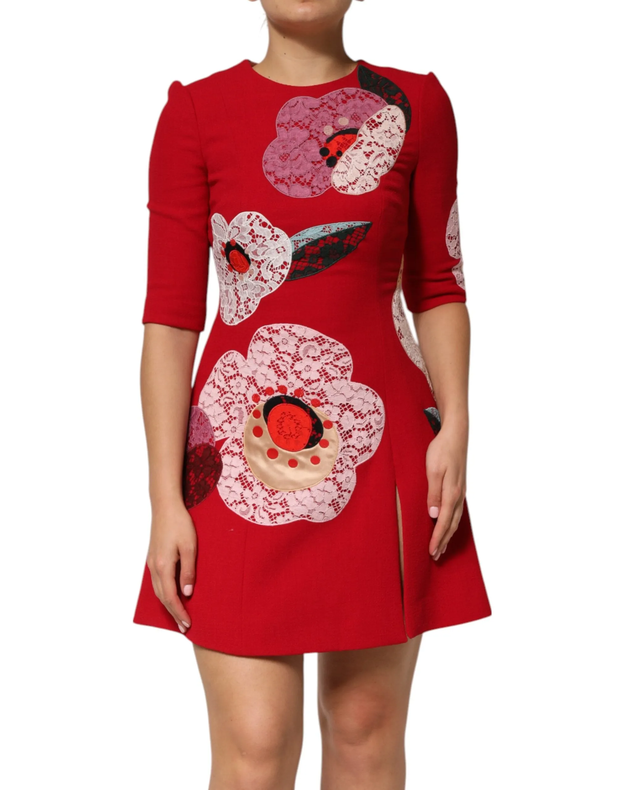 Red Lace Floral Applique A-line Mini Dress sold by Lord & Taylor product image thumbnail 2