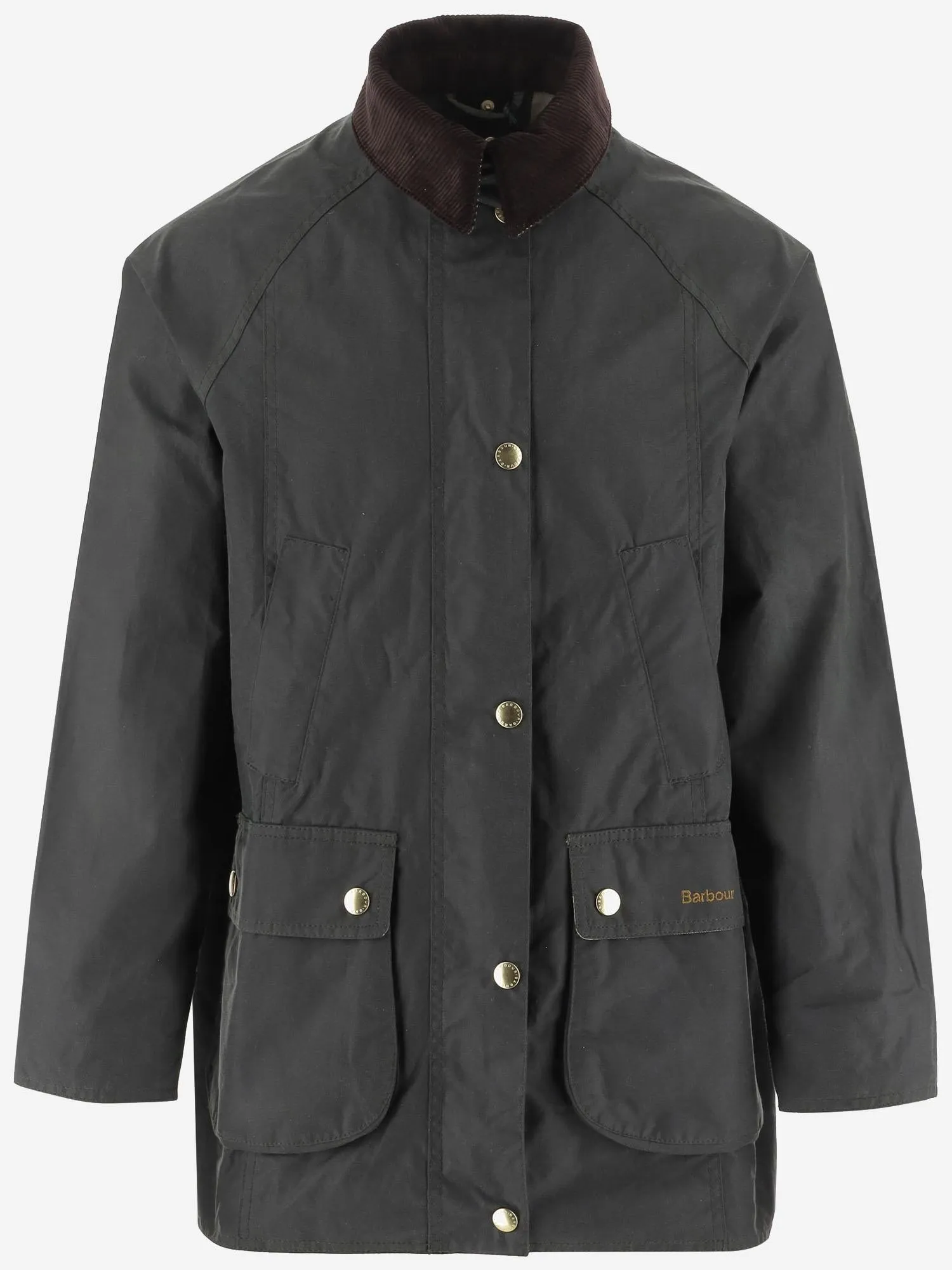 Modern Beadnell Cotton Jacket sold by Lord & Taylor