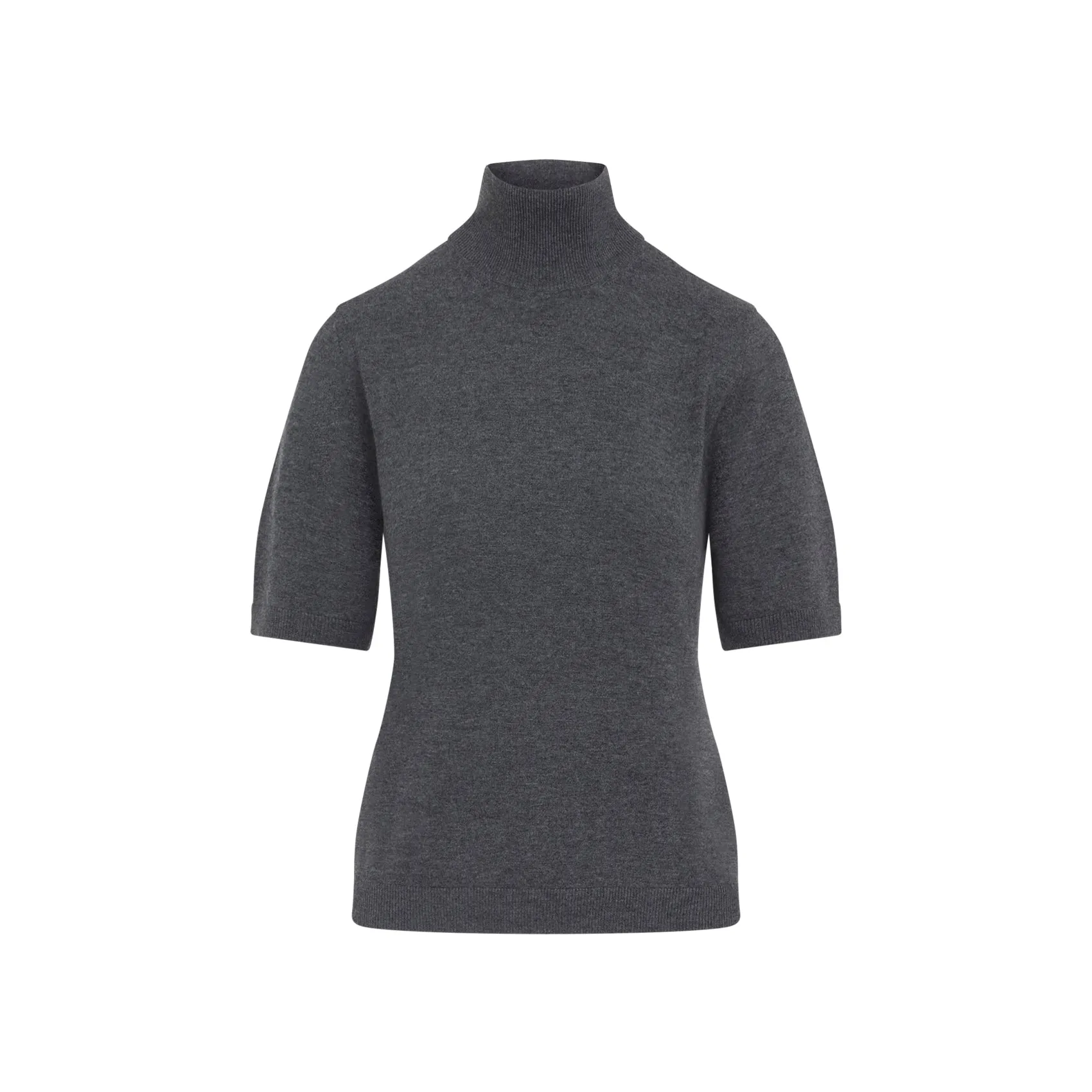 CANTONE TURTLENECK SS sold by Lord & Taylor