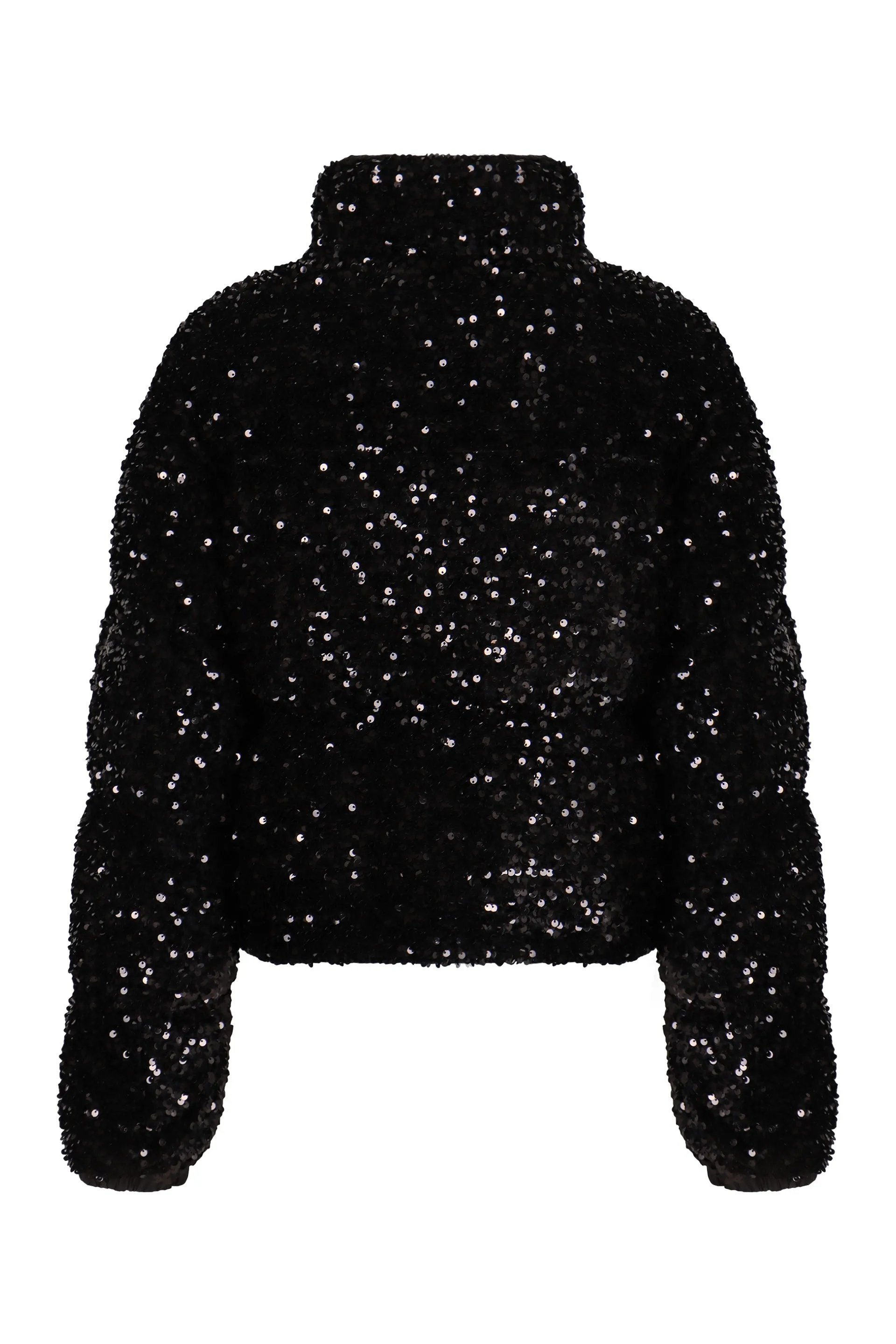 EMBELLISHED POLYESTER LOUVI DOWN JACKET sold by Lord & Taylor product image thumbnail 2