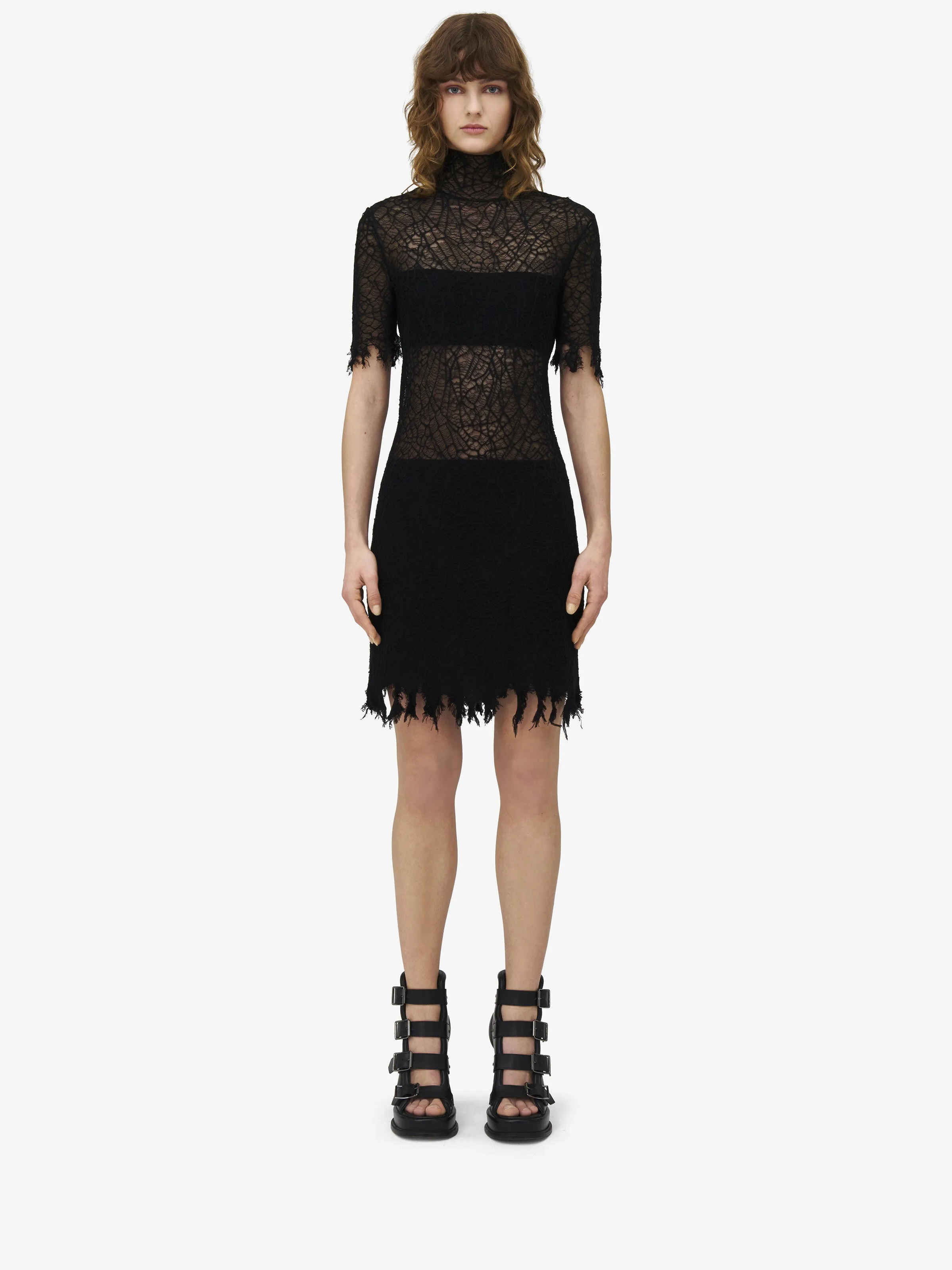 LACE MINI DRESS sold by Lord & Taylor product image thumbnail 2
