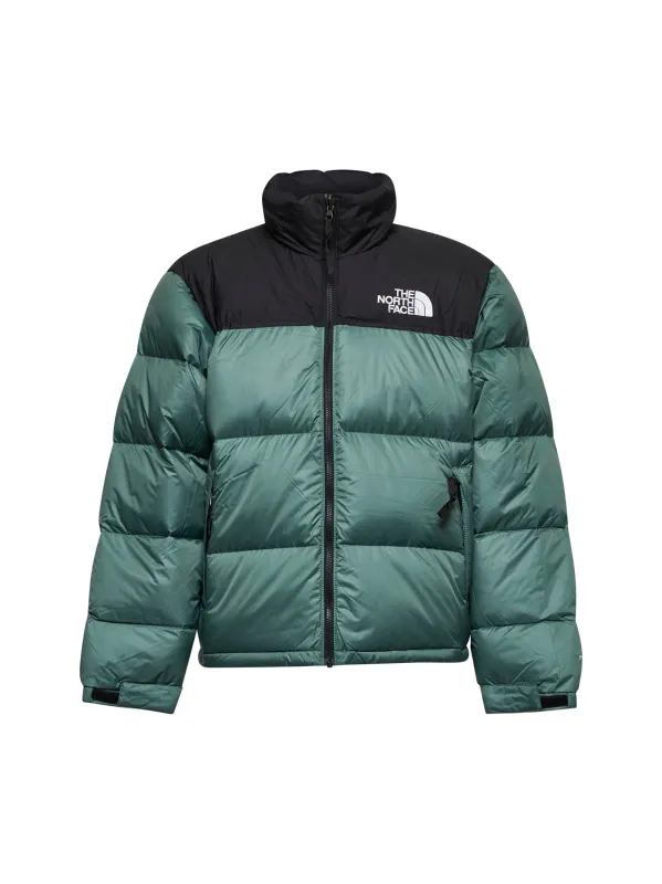 Green Retro Nuptse 1996 Jacket sold by Lord & Taylor