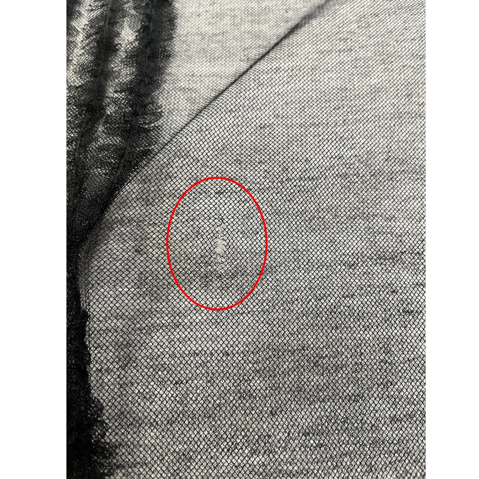 Dsquared2 Cotton Sweatshirt sold by Lord & Taylor product image thumbnail 3
