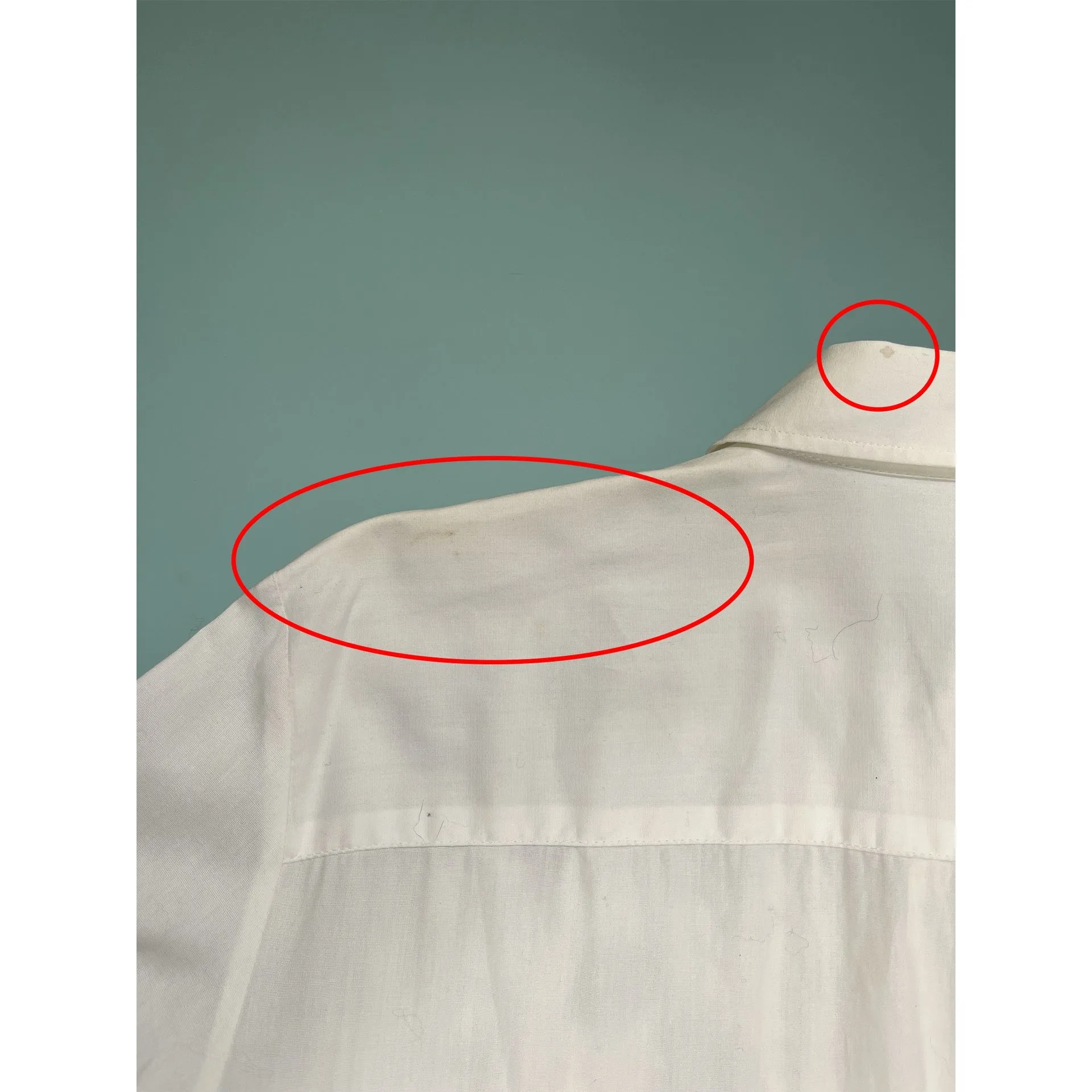 Dolce & Gabbana Cotton Shirt sold by Lord & Taylor product image thumbnail 3