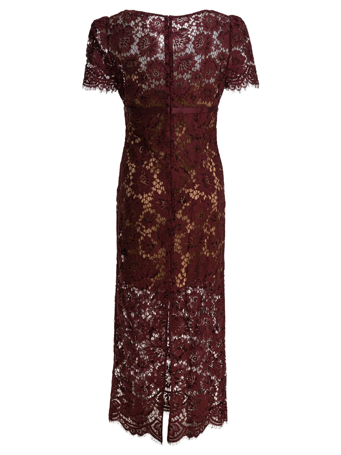 Floral lace midi dress sold by Lord & Taylor product image thumbnail 2