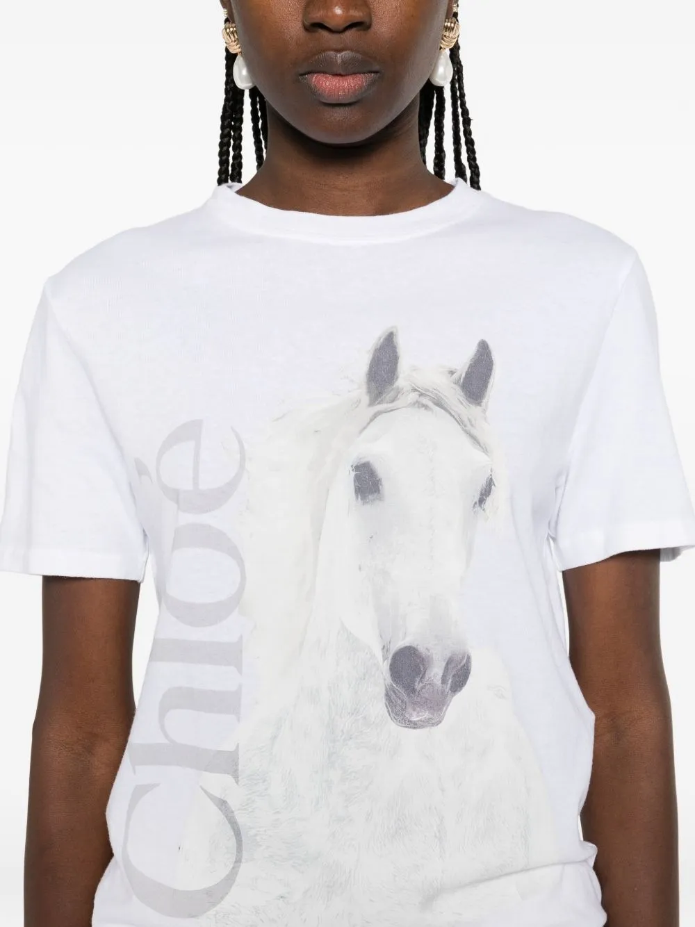 PRINTED COTTON T-SHIRT sold by Lord & Taylor product image thumbnail 4