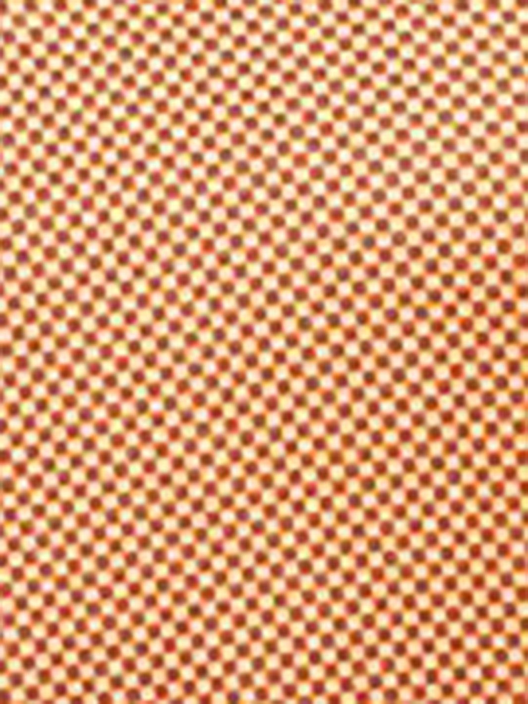 Sierra Polo sold by Lord & Taylor product image thumbnail 2