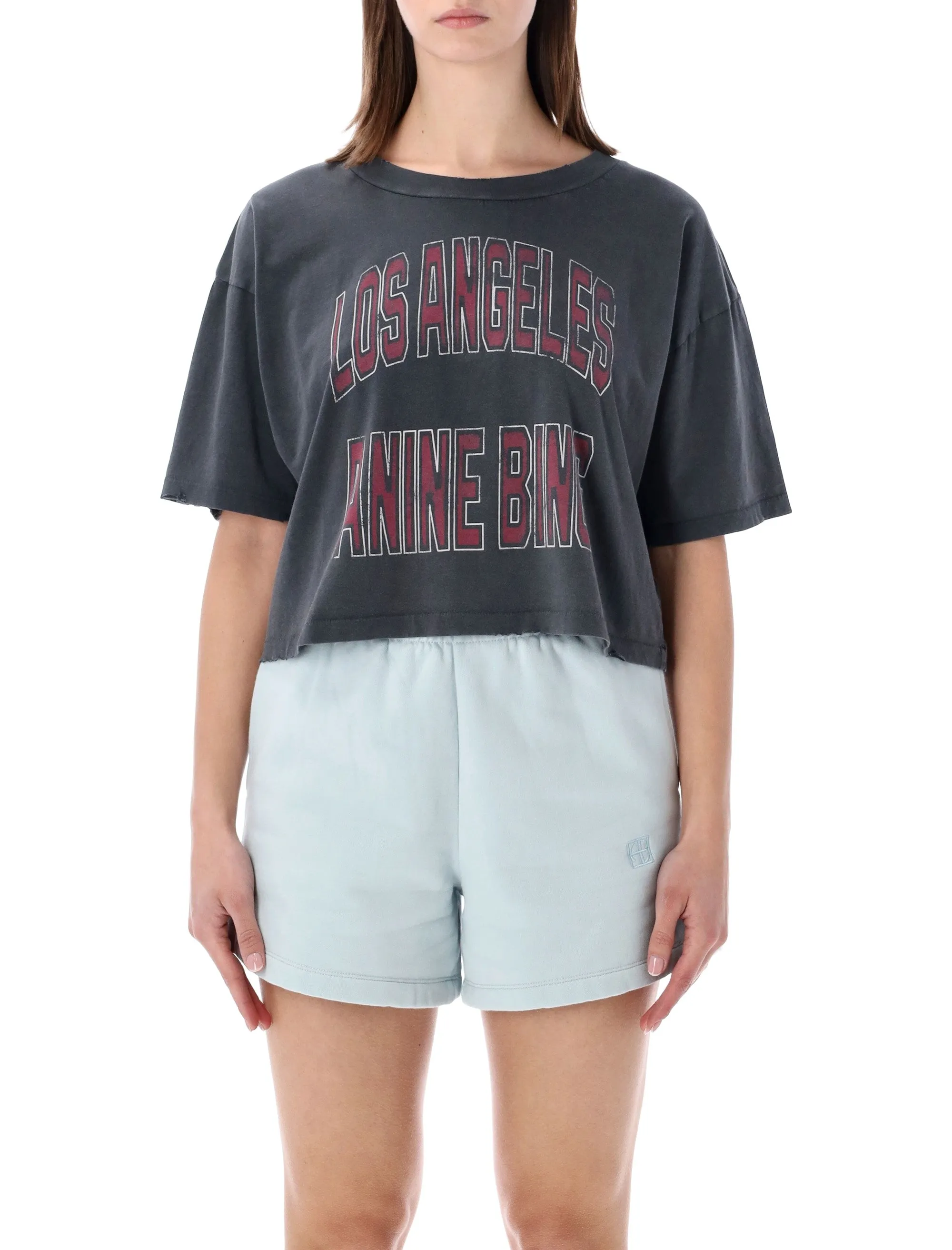 ANINE BING JOHNNY CROPPED GRAPHIC T-SHIRT sold by Lord & Taylor