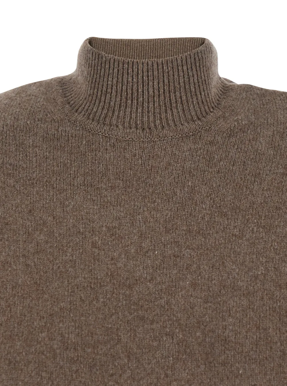 Brown Dress with High Ribbed Neck sold by Lord & Taylor product image thumbnail 3
