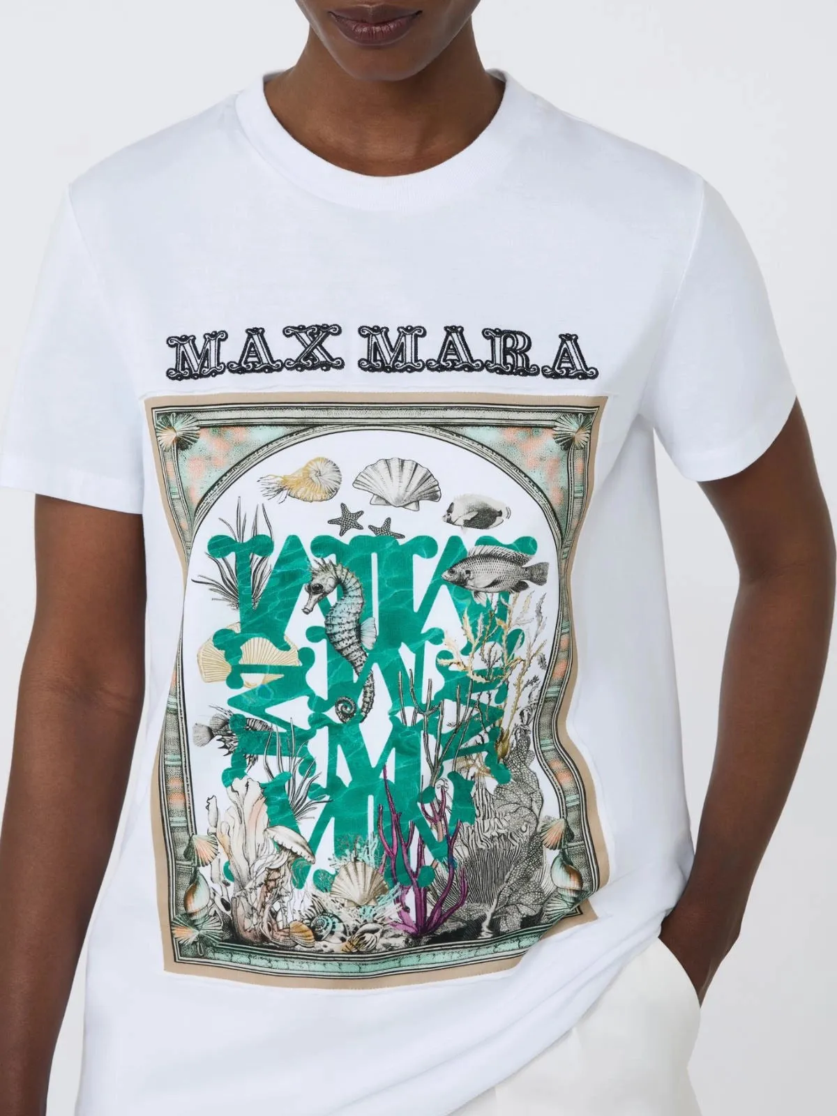 SPADINO COTTON JERSEY T-SHIRT sold by Lord & Taylor product image thumbnail 5