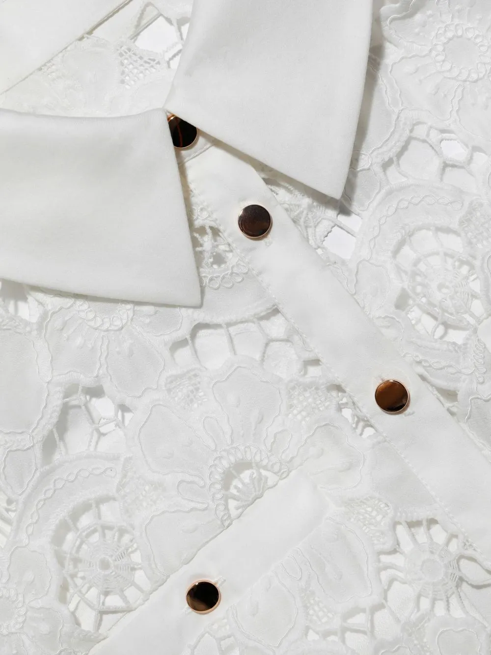 LACE COLLARED MAXI DRESS sold by Lord & Taylor product image thumbnail 3
