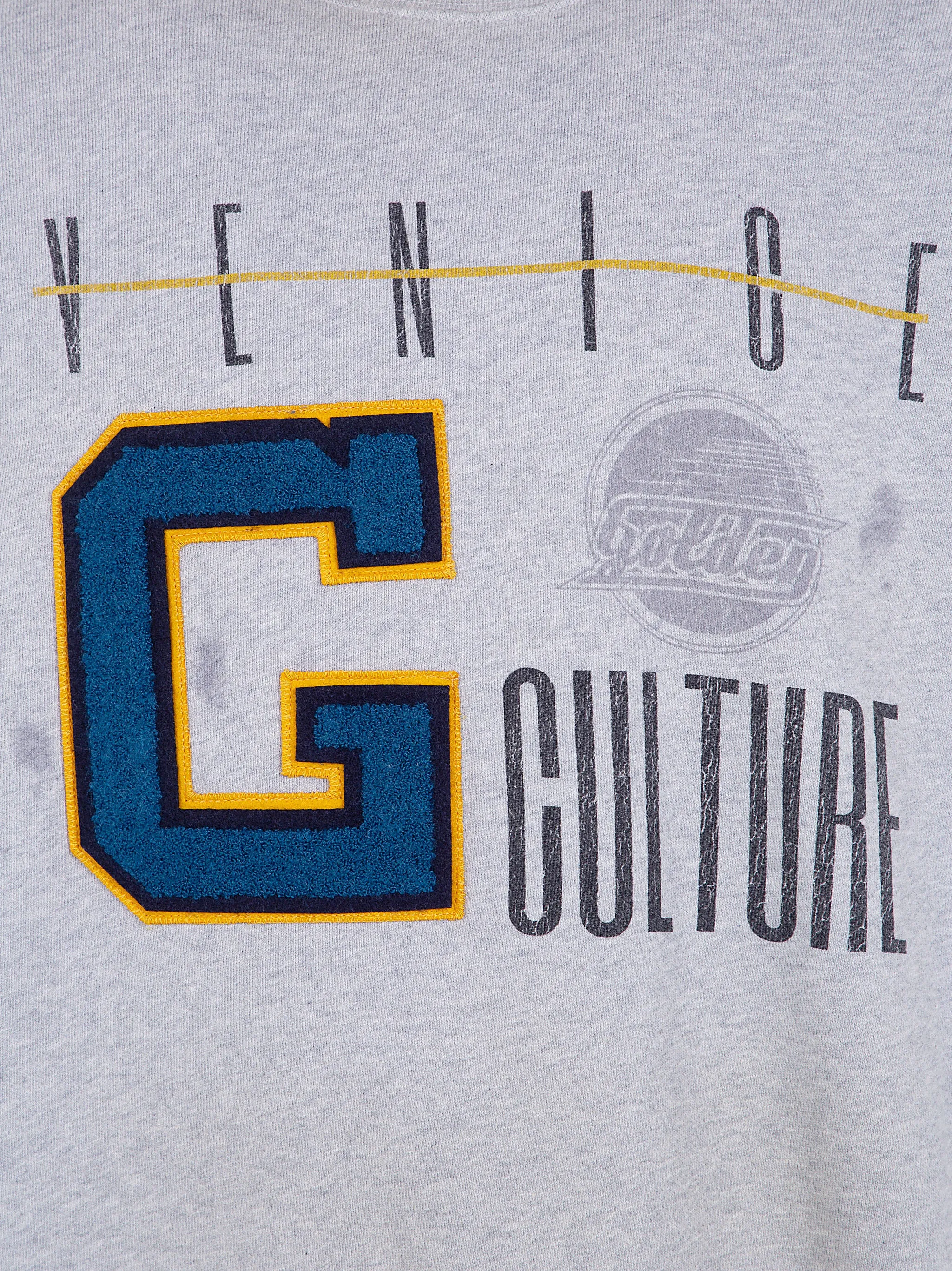 GREY SWEATSHIRT WITH COLLEGE LOGO GRAPHIC sold by Lord & Taylor product image thumbnail 5