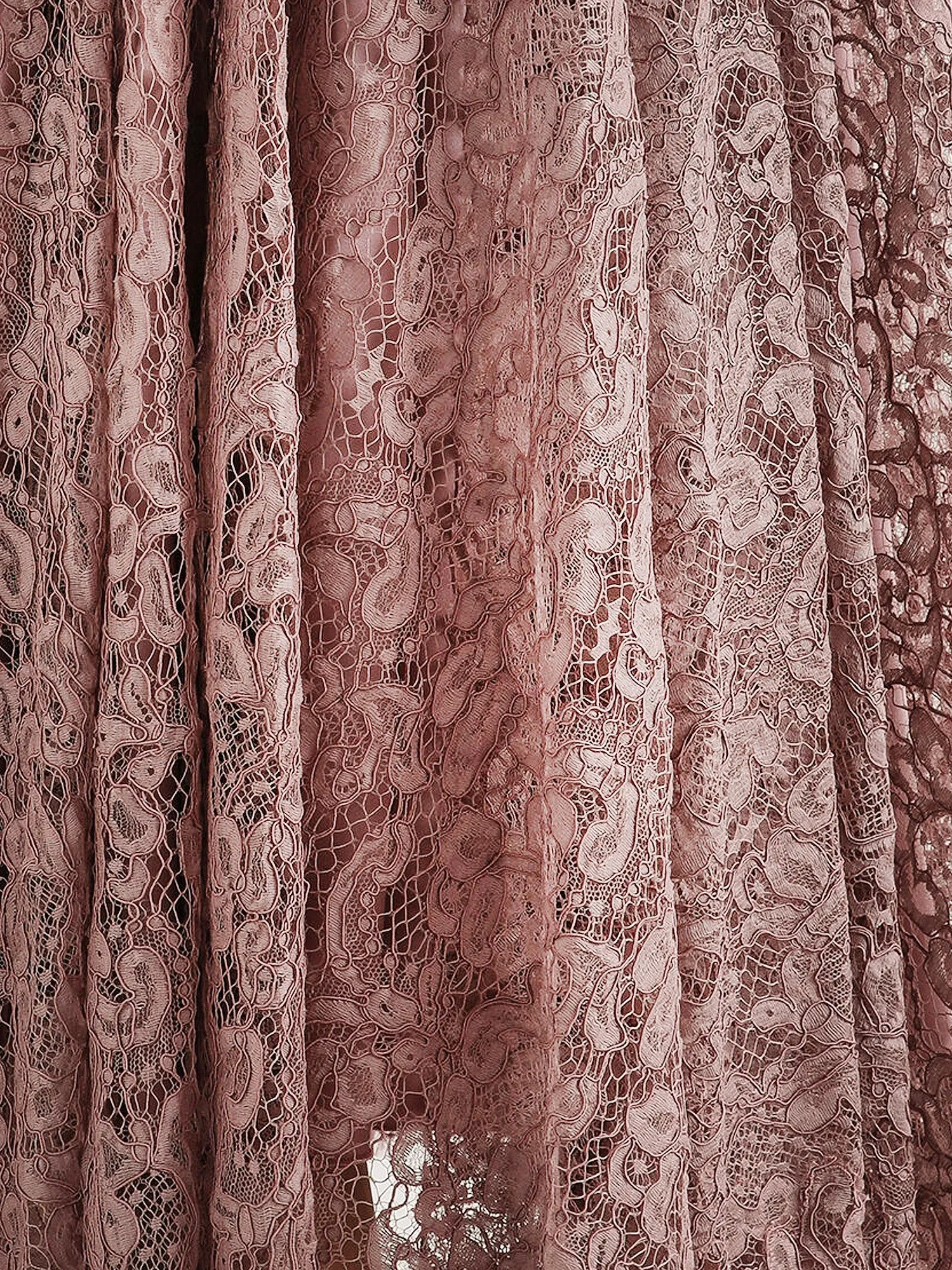 Dress Pink Lace sold by Lord & Taylor product image thumbnail 3