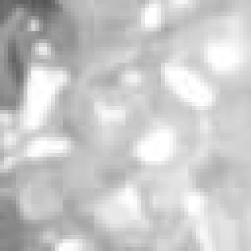 14K Gold 7 Carat Diamond Necklace sold by Lord & Taylor