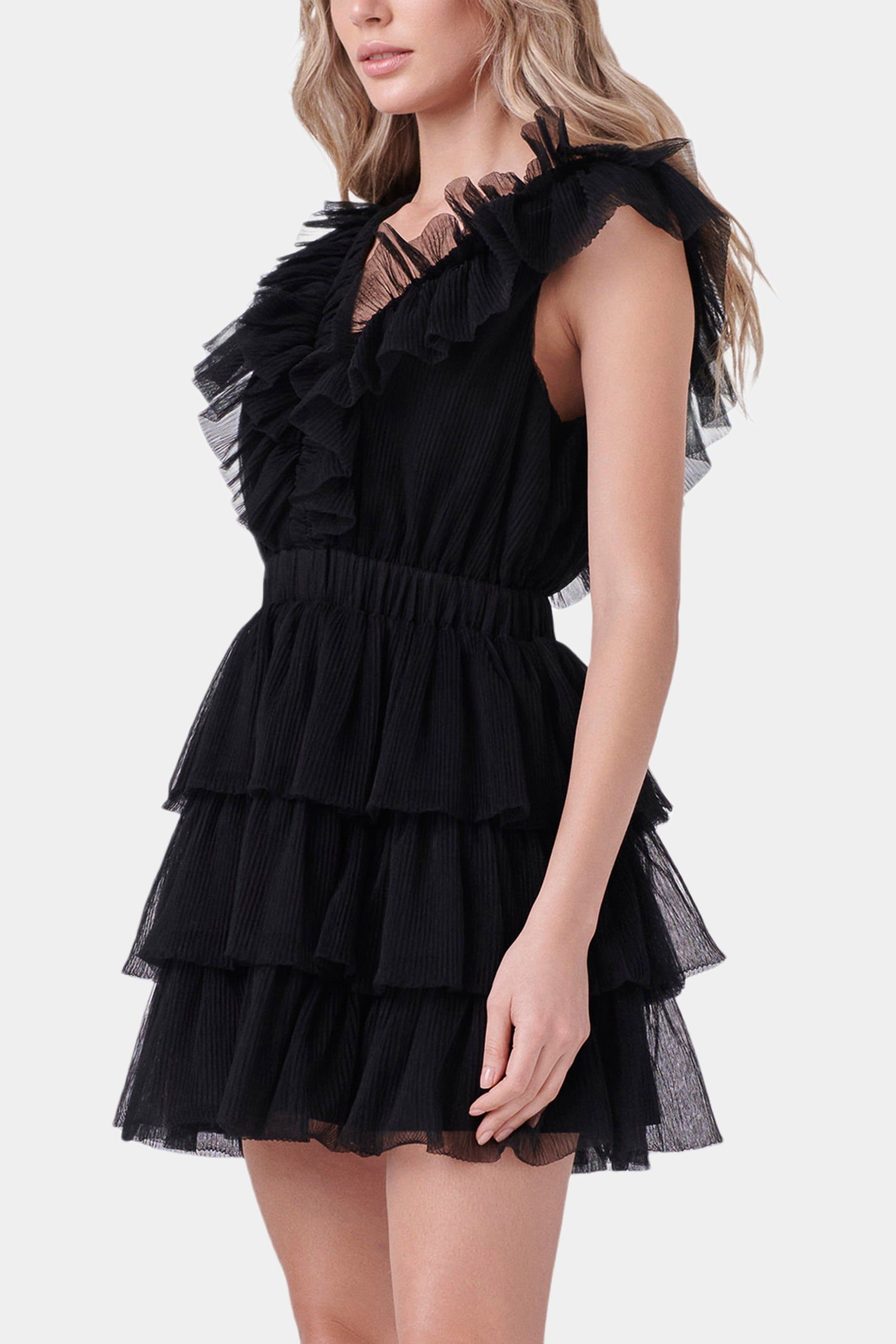 Tulle Ruffle Tiered Mini Dress sold by Lord & Taylor product image thumbnail 5