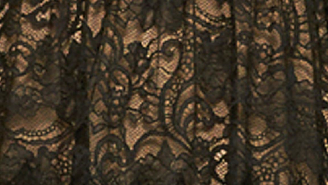 Lace Illusion Midi Dress sold by Lord & Taylor product image thumbnail 4
