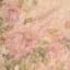 Floral Matelasse Dress sold by Lord & Taylor product image thumbnail 2