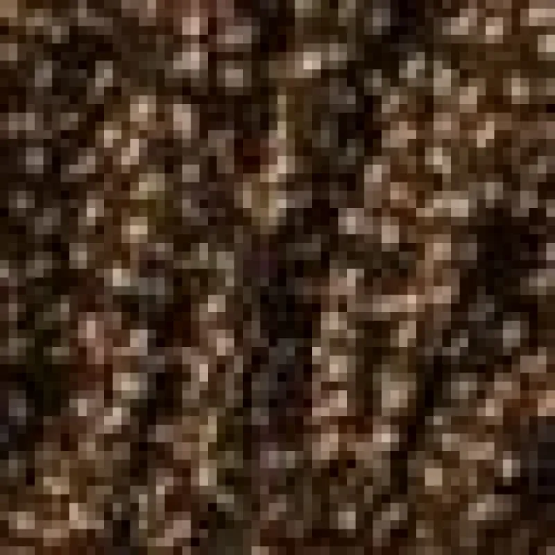 Floral Blouson Top sold by Lord & Taylor