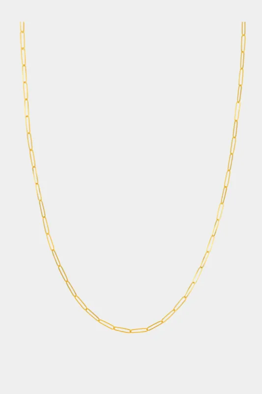 Designer Long Link Chain sold by Lord & Taylor