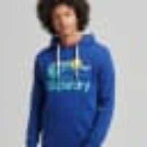 Vintage CL Great Outdoors Hooded Sweatshirt sold by Lord & Taylor