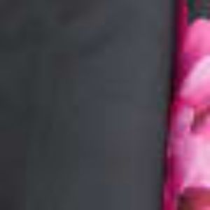 Plus Size Sleeveless Printed High/Low Party Dress With Tie Waist Detail sold by Lord & Taylor