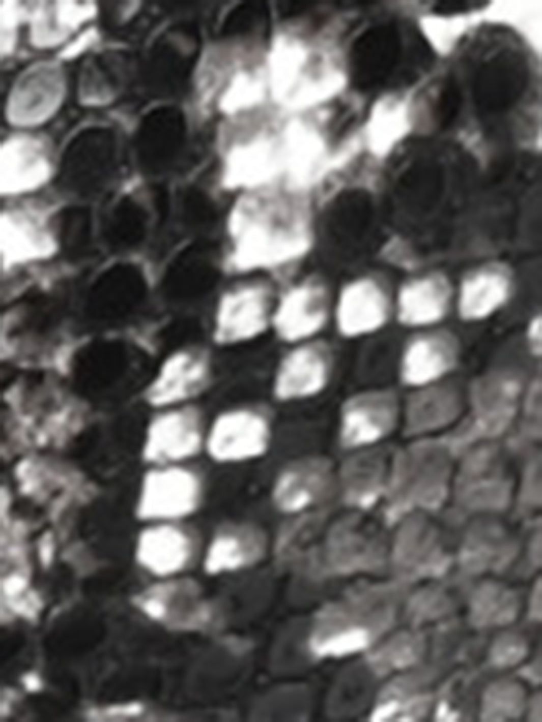 Extra Wide Calf Tavia Boots sold by Lord & Taylor product image thumbnail 30