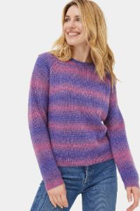 Ombre Stripe Crew Sweater sold by Lord & Taylor