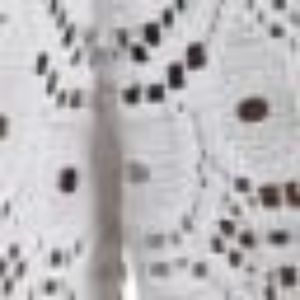 Crochet Beach Pant sold by Lord & Taylor