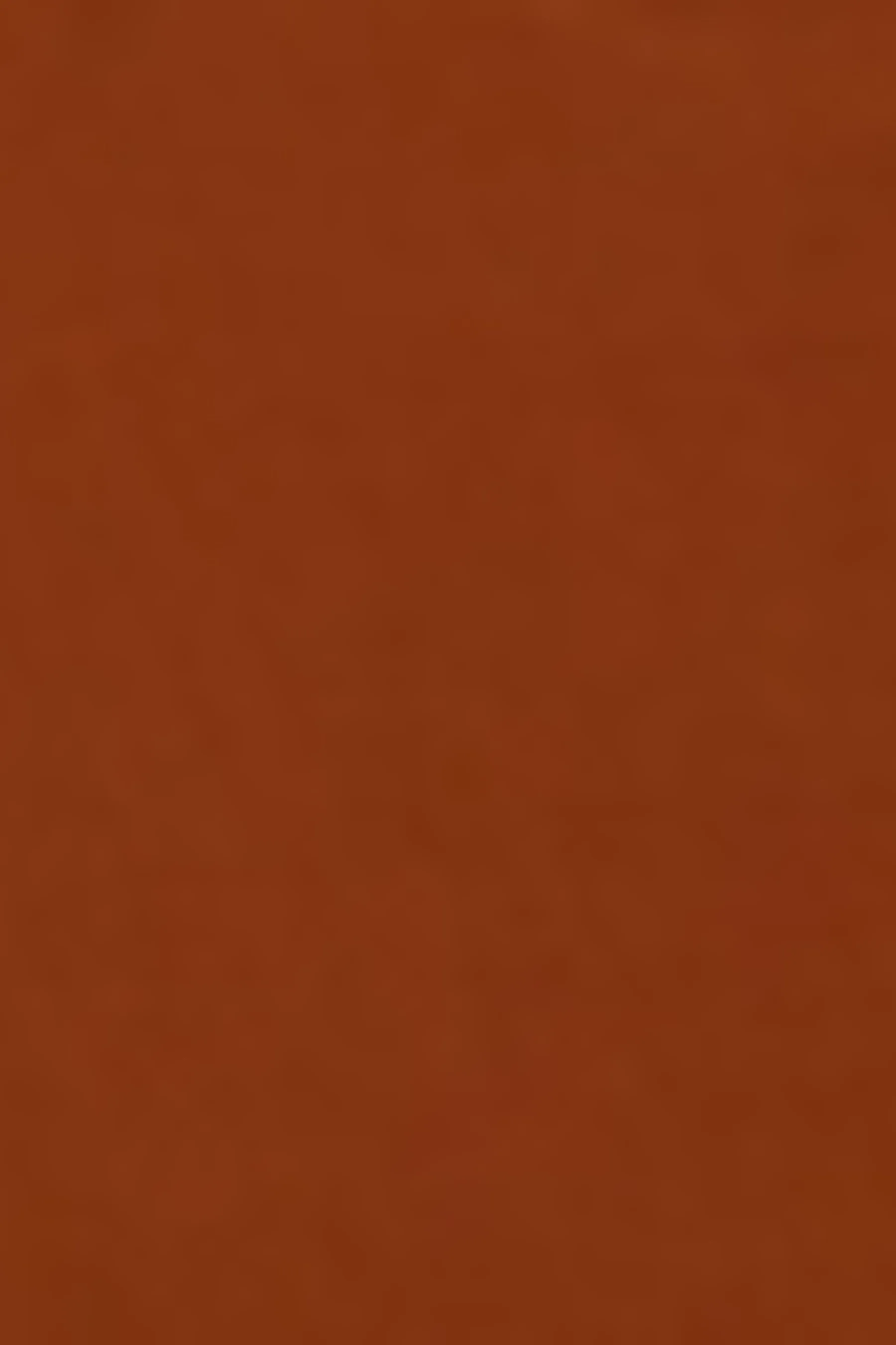 Eva Wide Leg Pants sold by Lord & Taylor product image thumbnail 5