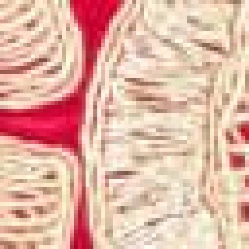 Beaded Chain Shoulder Bag sold by Lord & Taylor