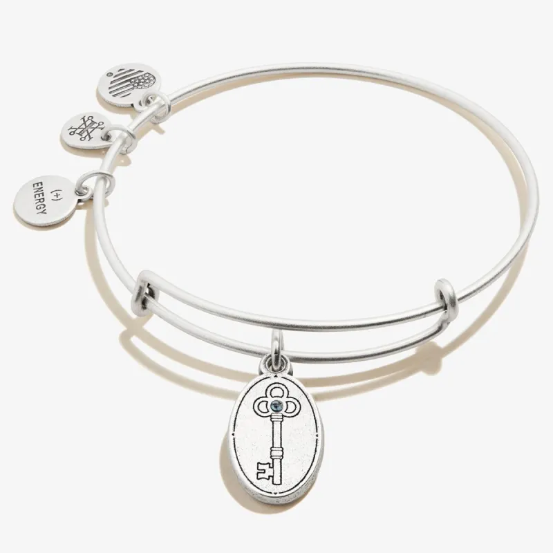 Key to Wisdom II Charm Bangle Bracelet sold by Lord & Taylor