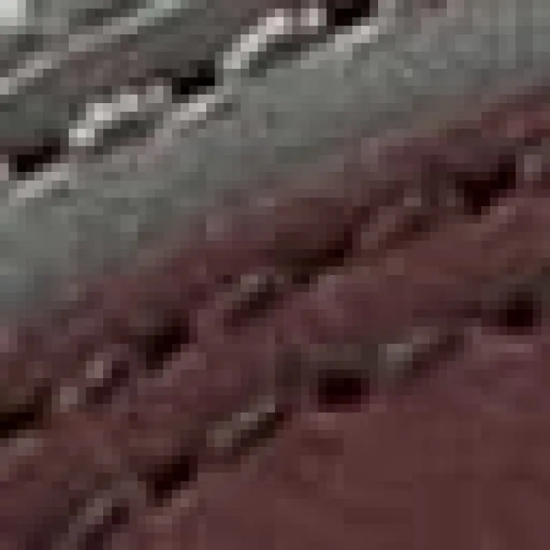 Pelotas Mars Sneaker made by Camper