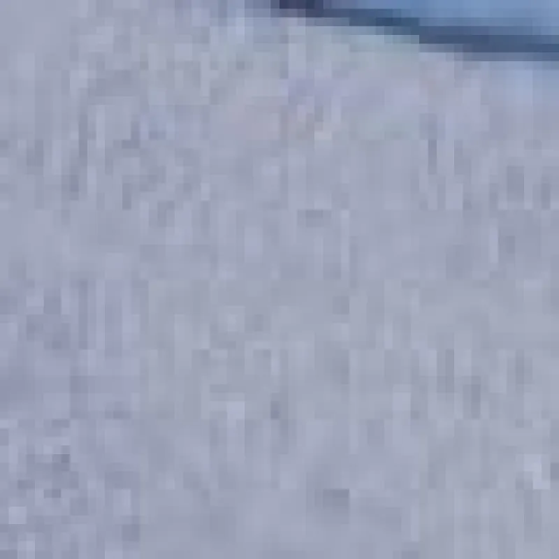 Cara Buckle Mule sold by Lord & Taylor