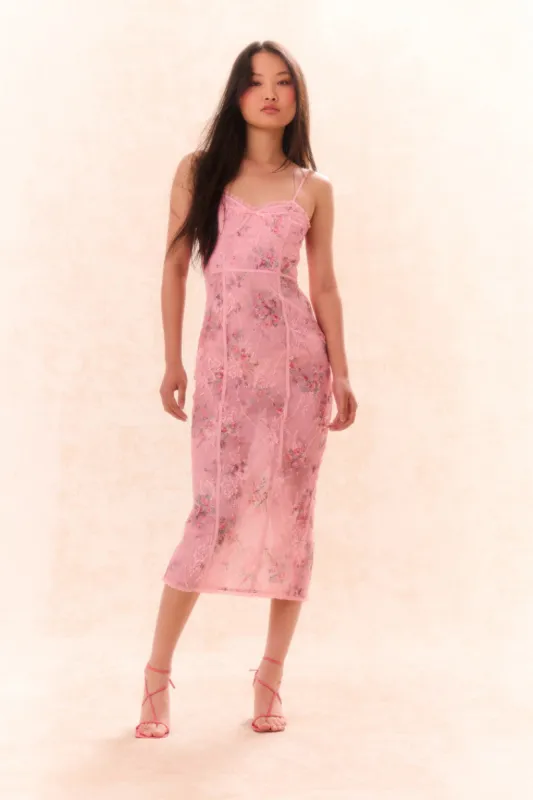 Tresor Lace Bustier Midi Dress sold by LoveShackFancy