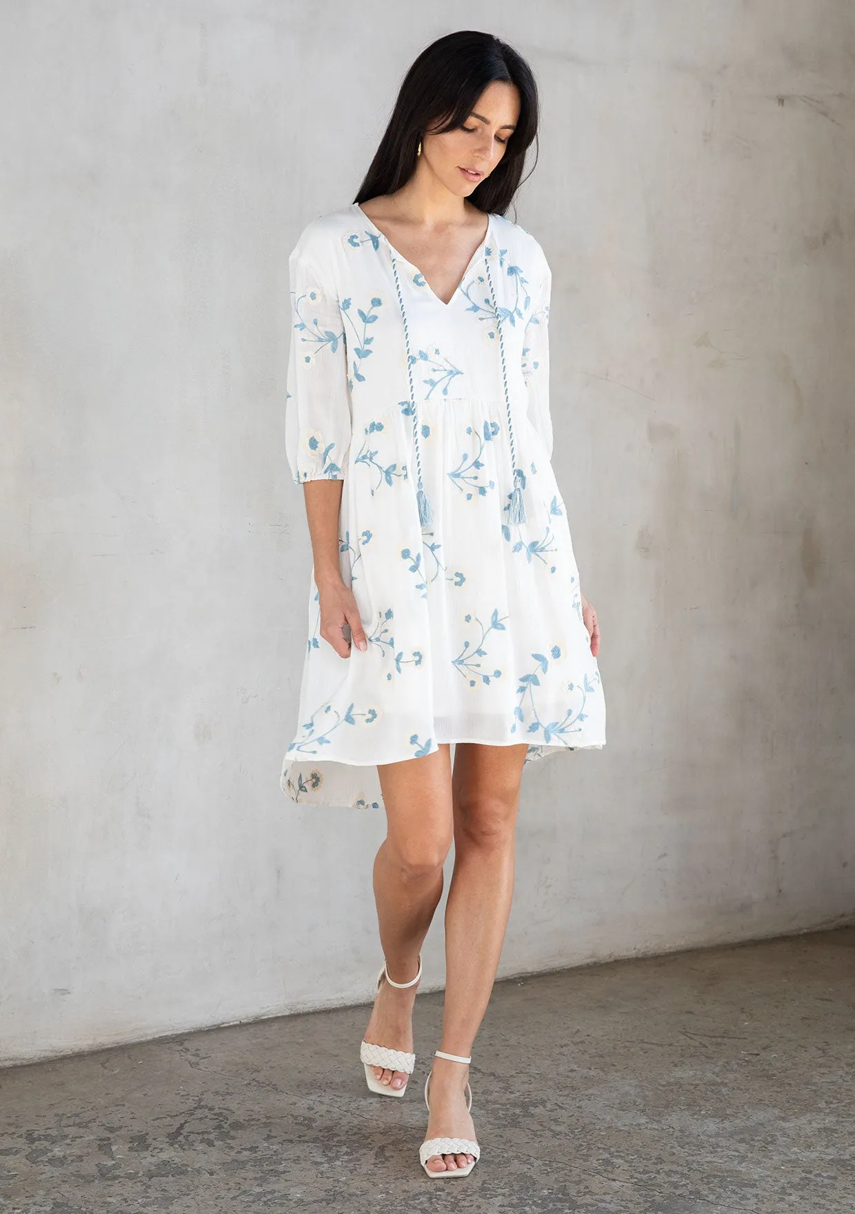 Nantucket Embroidered Mini Dress sold by lovestitch product image thumbnail 5