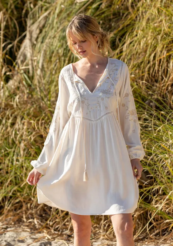 Malin Embroidered Mini Dress sold by lovestitch