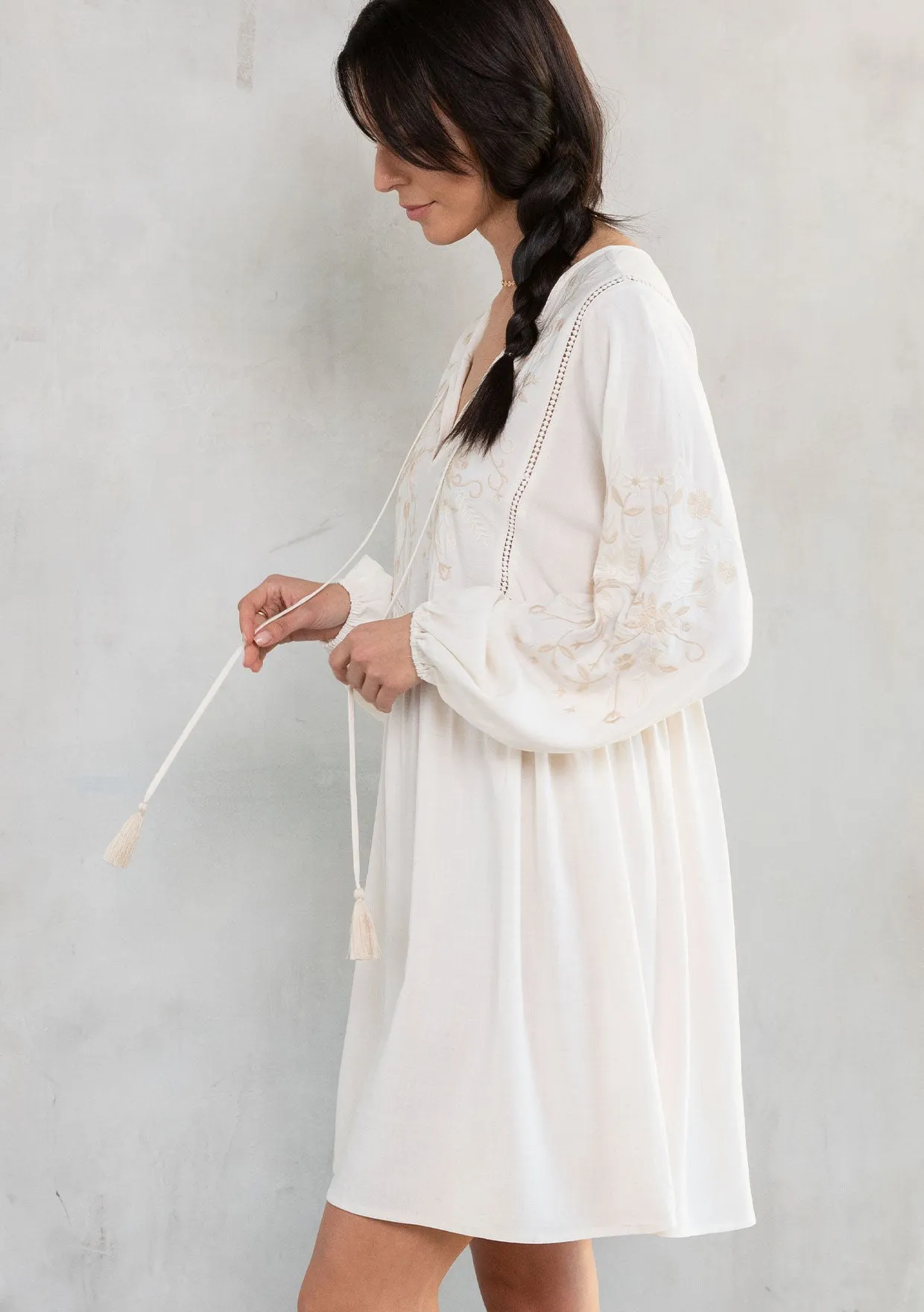 Malin Embroidered Mini Dress sold by lovestitch product image thumbnail 3