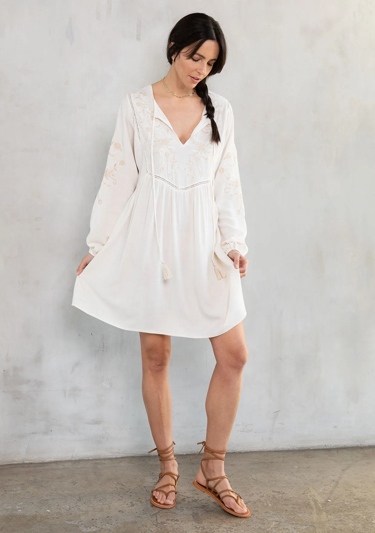 Malin Embroidered Mini Dress sold by lovestitch product image thumbnail 4