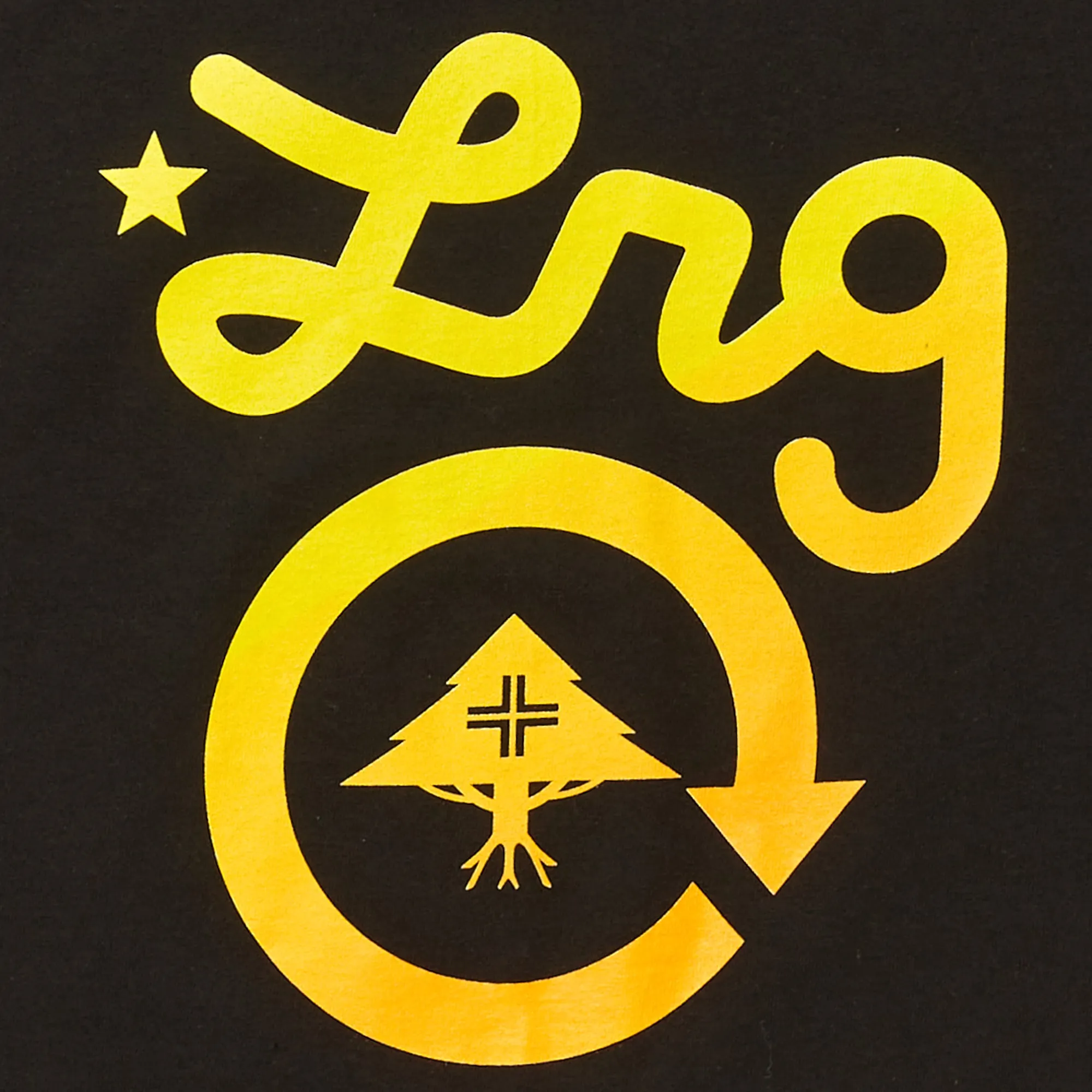 WESTERN LOGO TEE - BLACK sold by Lrg product image thumbnail 2